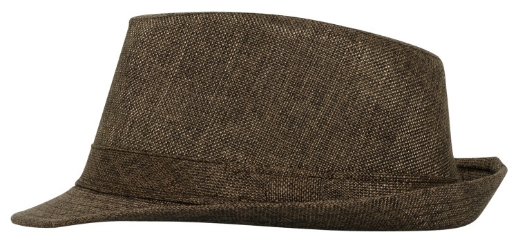 OTTO CAP Fedora 5