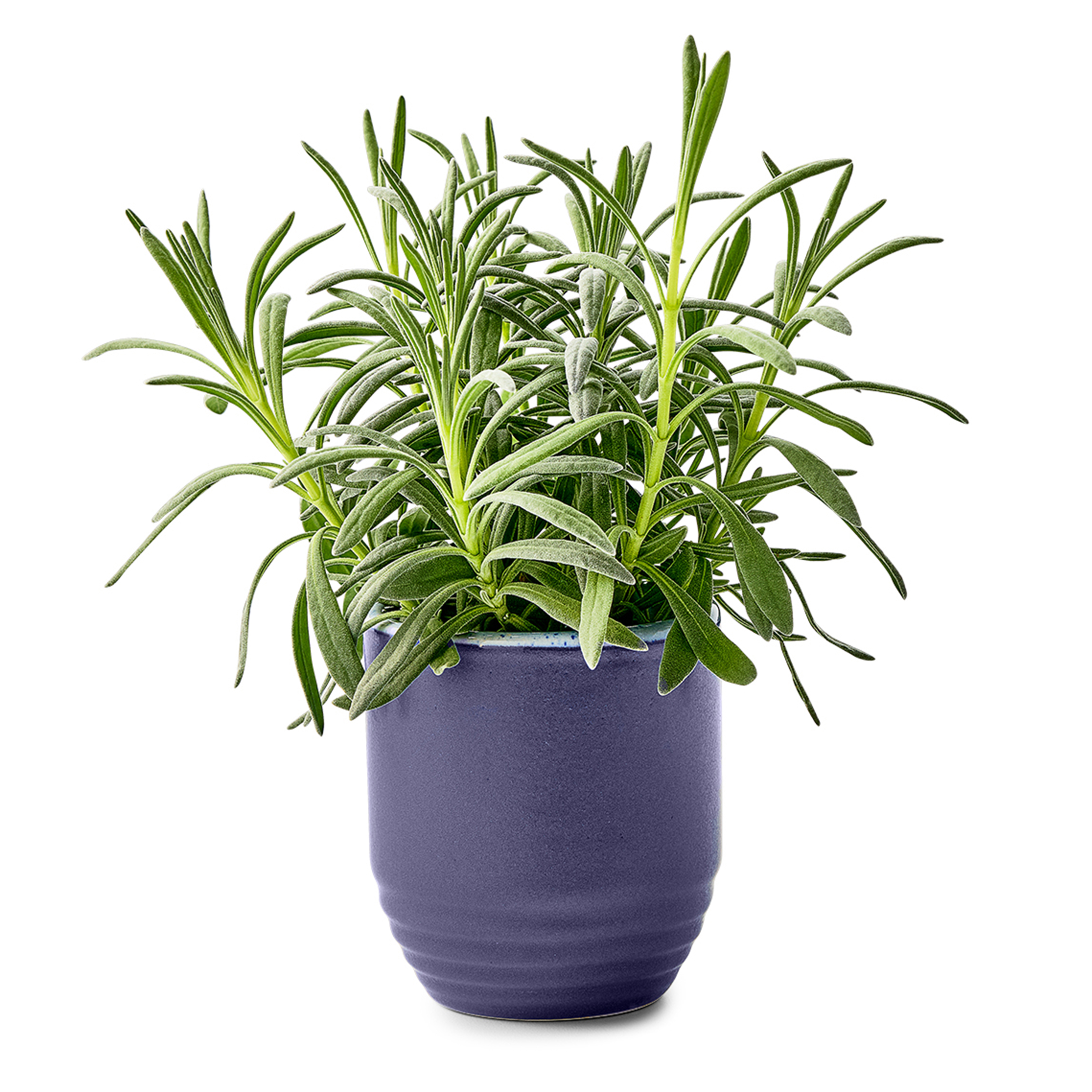 Modern Sprout® Garden Vibes Candle/Planter 28