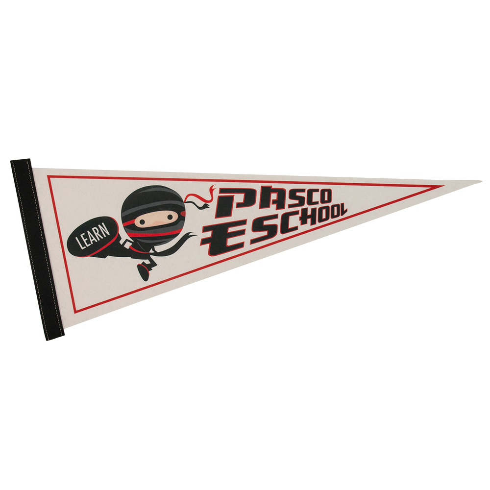 9" x 24" Full Color Felt Pennant 12