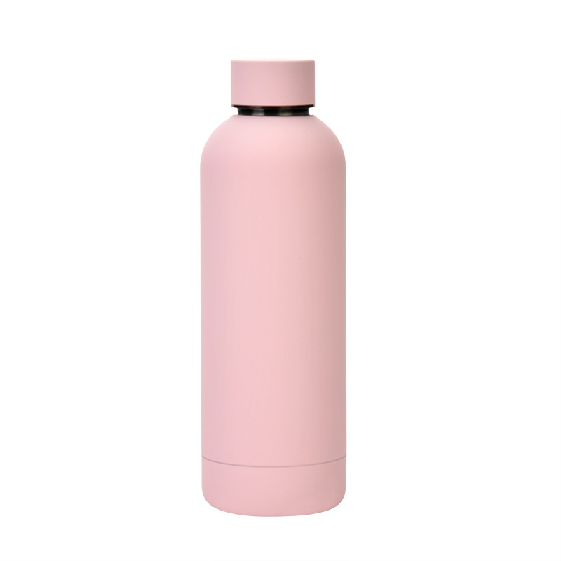 Stainless Steel Water Bottle 23