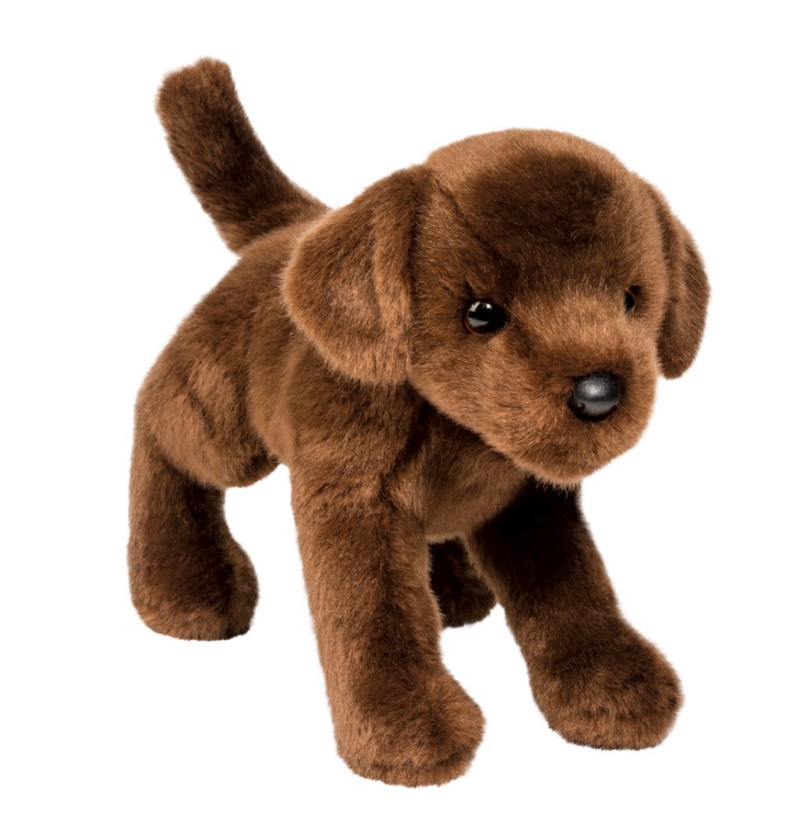 C.C. Bean Chocolate Lab 2