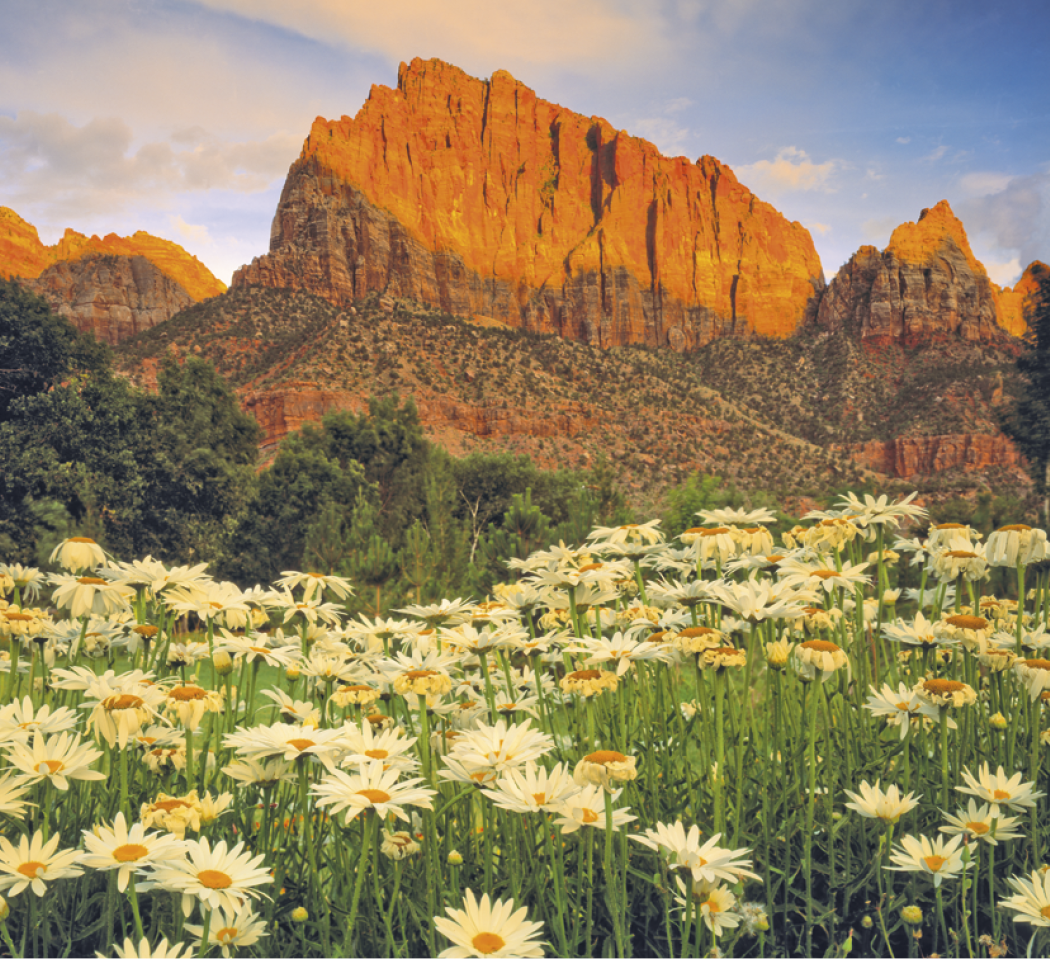Good Value™ Landscapes of America - Mini Calendar 67