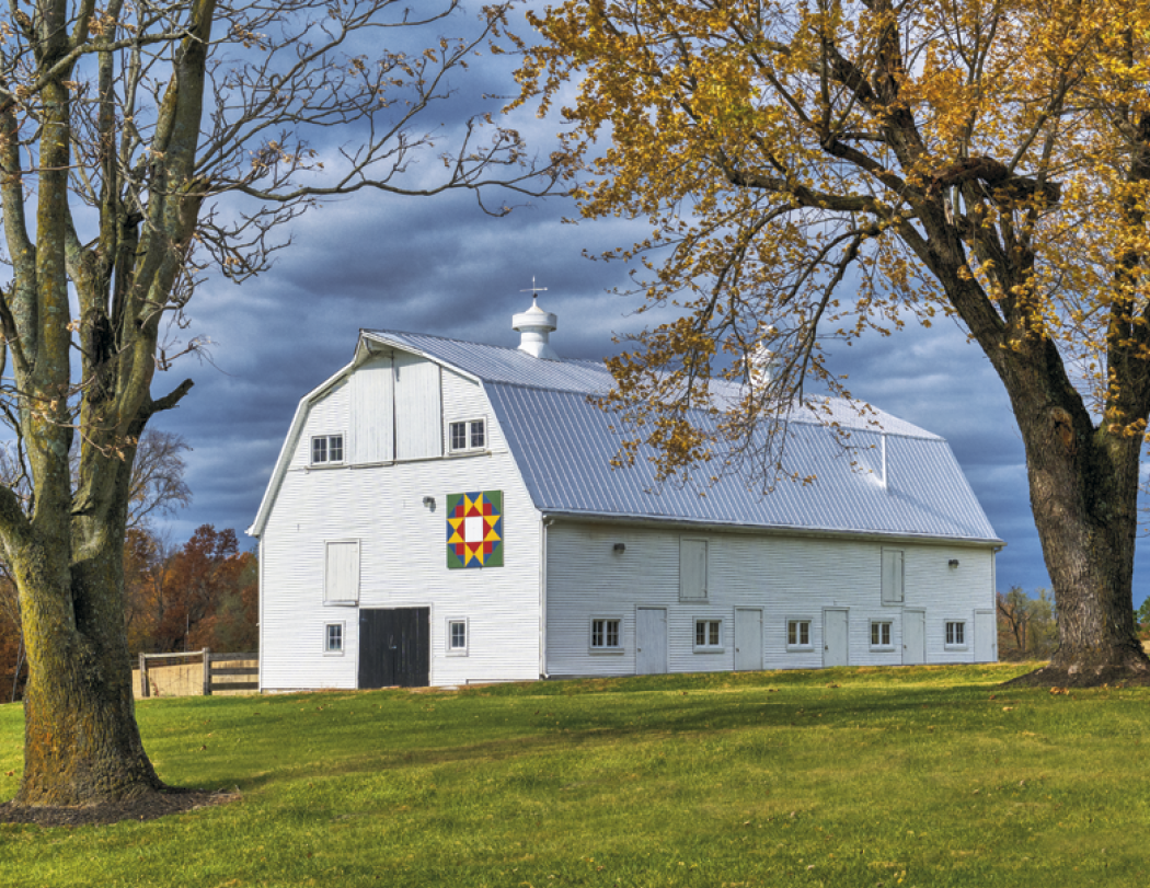 Triumph® Calendars Barns Calendar 67