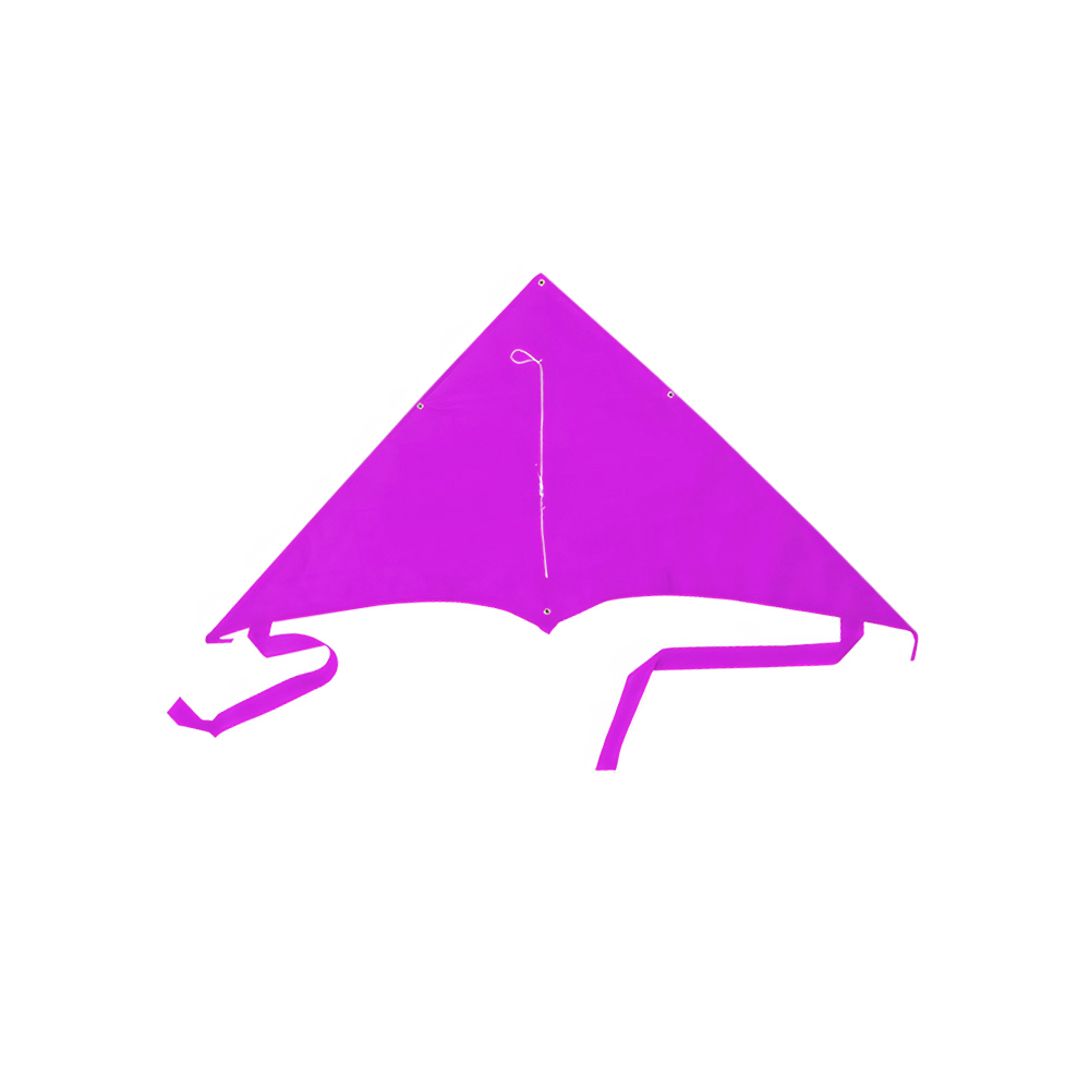 XL Delta Jumbo Kite - 40" X 20" 7