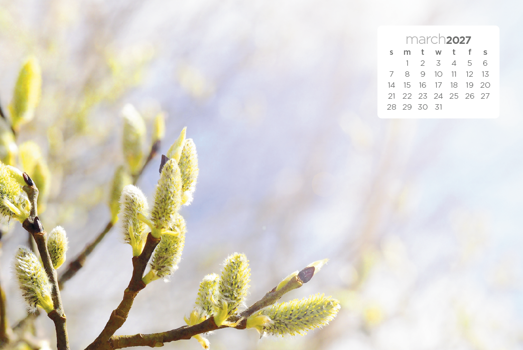 Triumph® Calendars Simplicity Large Desk Calendar 70
