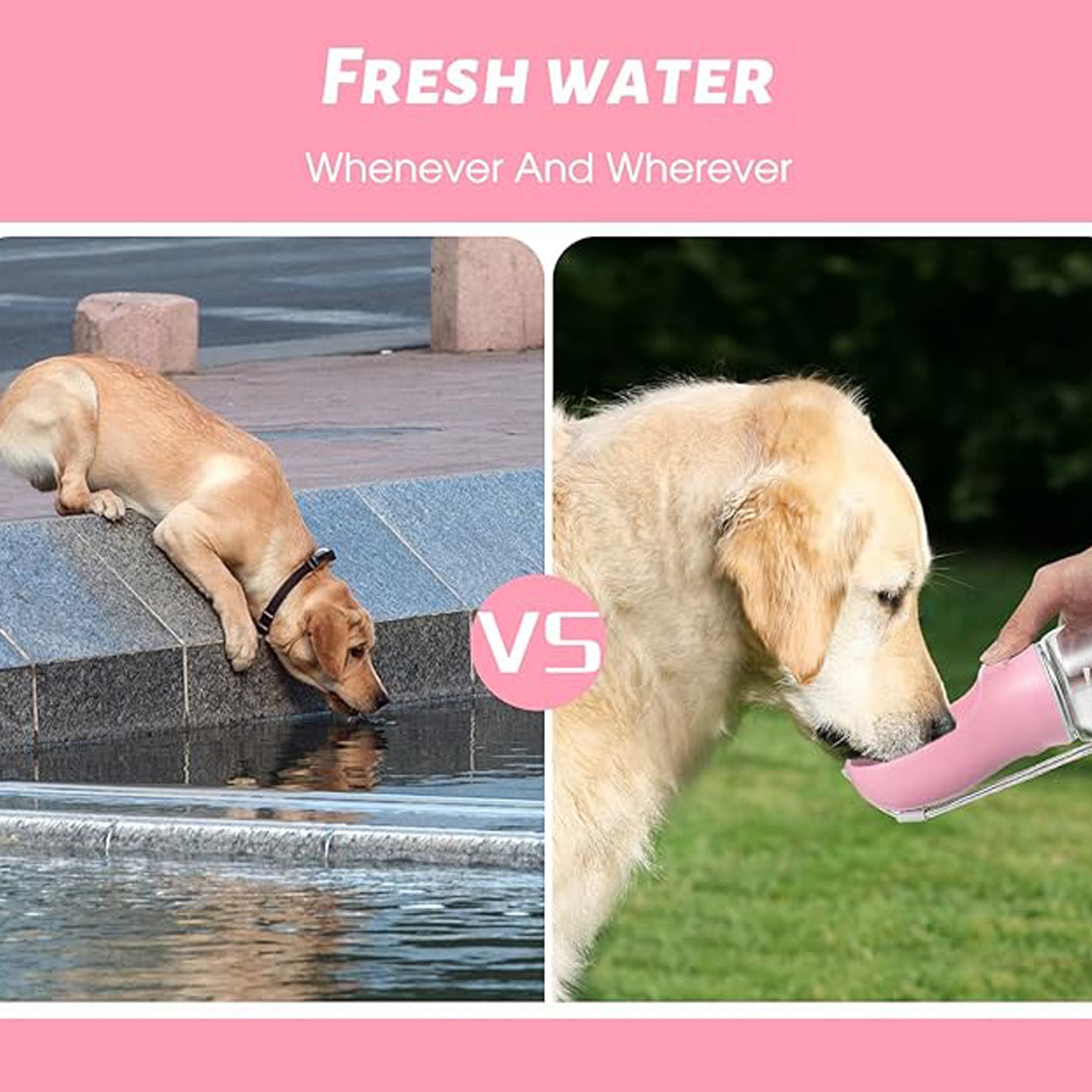 Leak Proof Puppy Water Dispenser 2