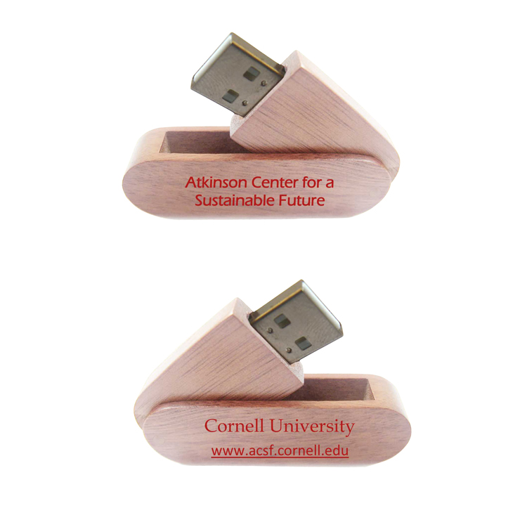 Eco Friendly Bamboo or Wooden USB Drive Swing Capless 3