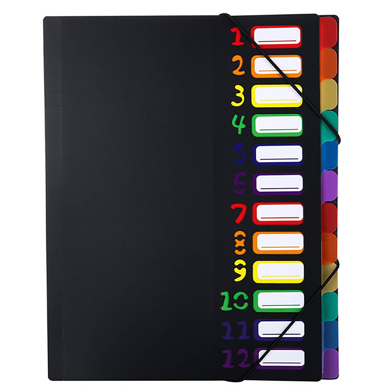 12 Pockets Plastic Expanding File Folder 13