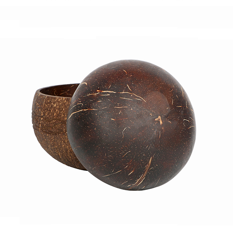 Natural Coconut Bowl 3