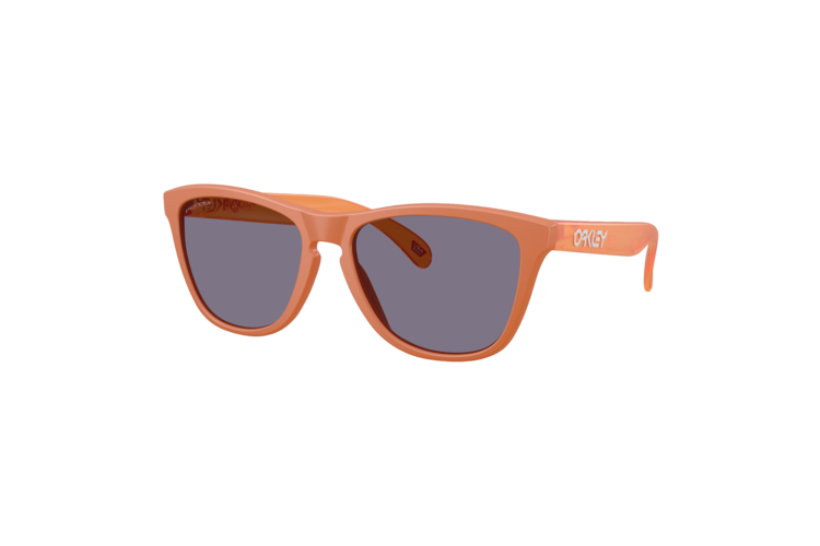 Oakley Frogskins Sunglasses 1