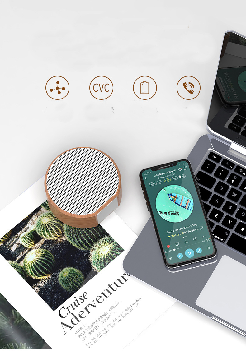 Portable Bluetooth Speaker 2