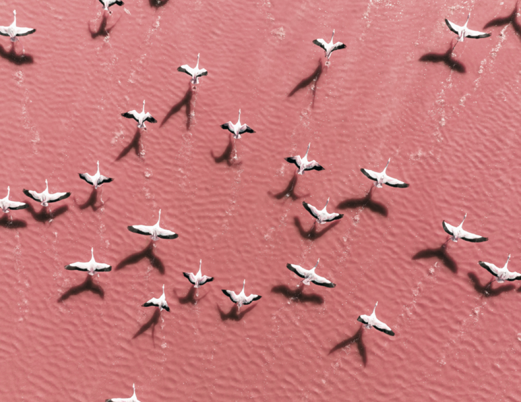 Good Value™ View from Above - Stapled Calendar 29