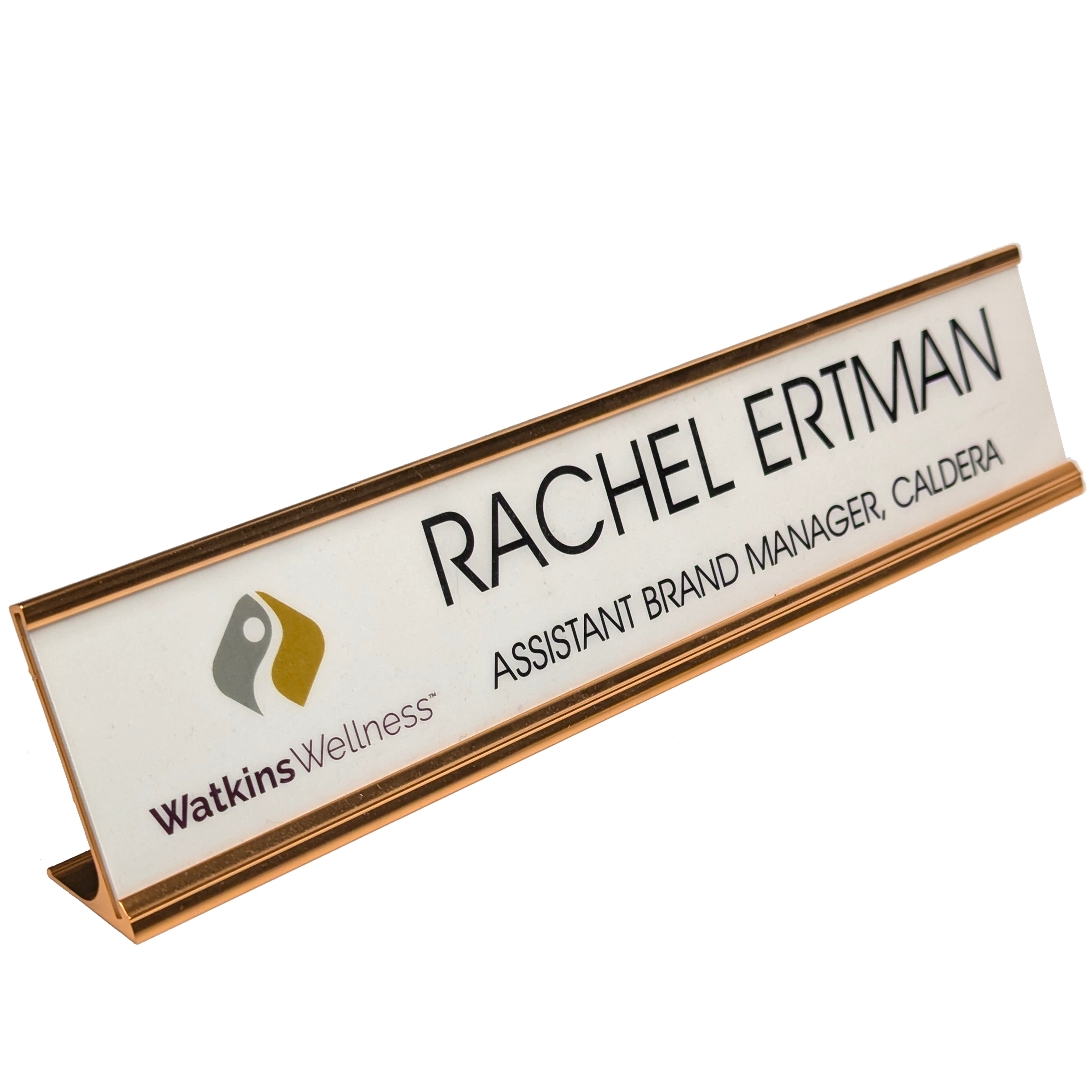 Name Plate Set w/ Desk Holder 2 x 10" 2