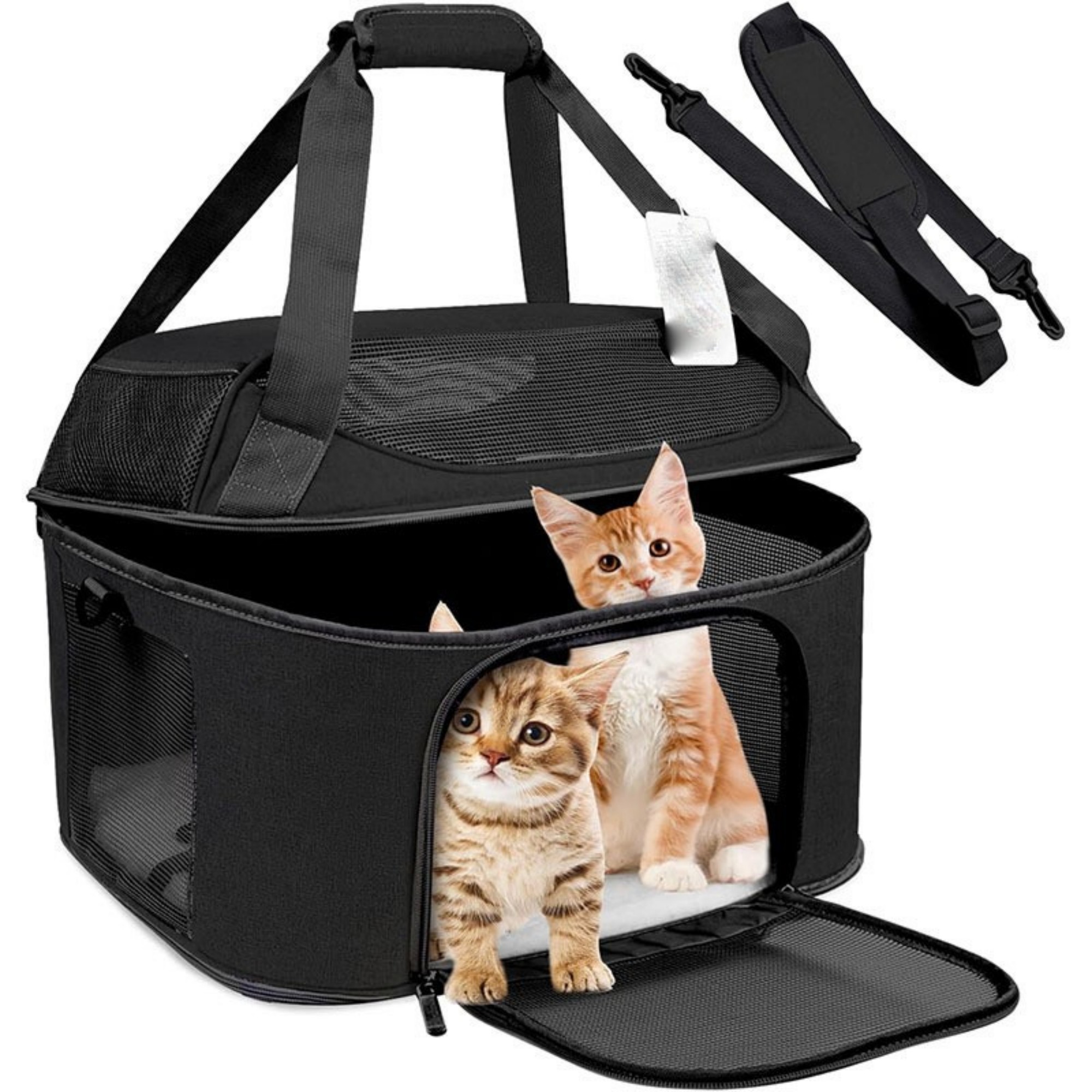 Large Cat Carrier For 2 Cats 7