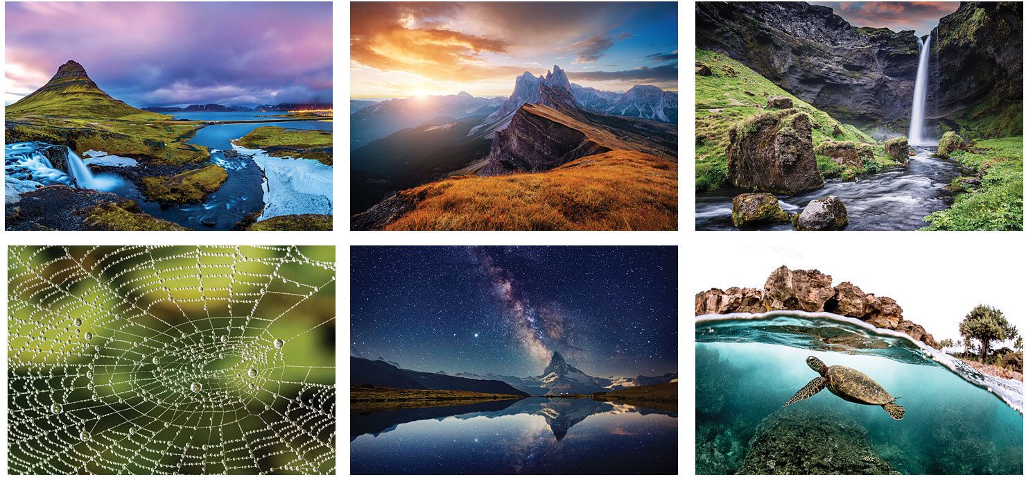 AMAZING NATURE SPIRAL WALL CALENDAR 19
