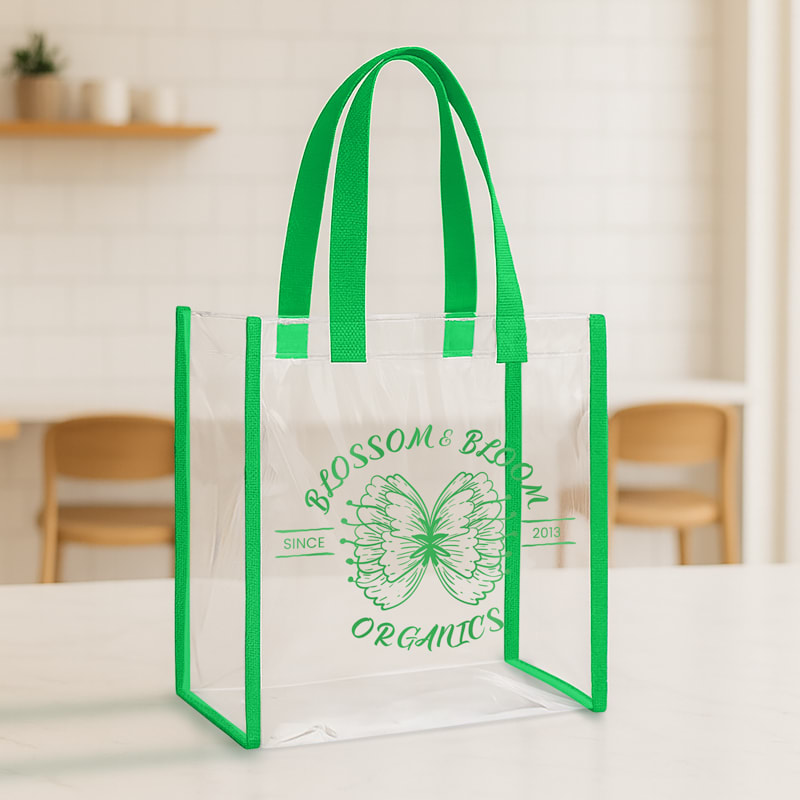Clear Stadium Bags 2