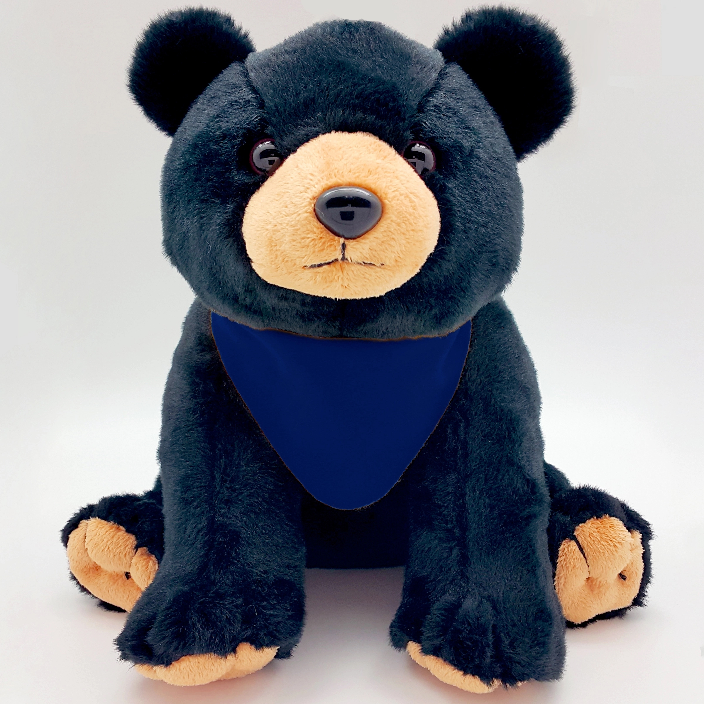 10" Black Bear 8