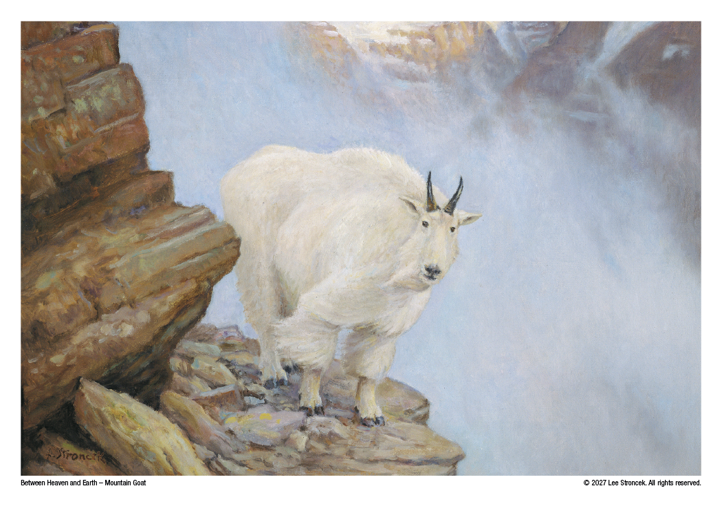 Triumph® Calendars Wildlife Art Calendar 59