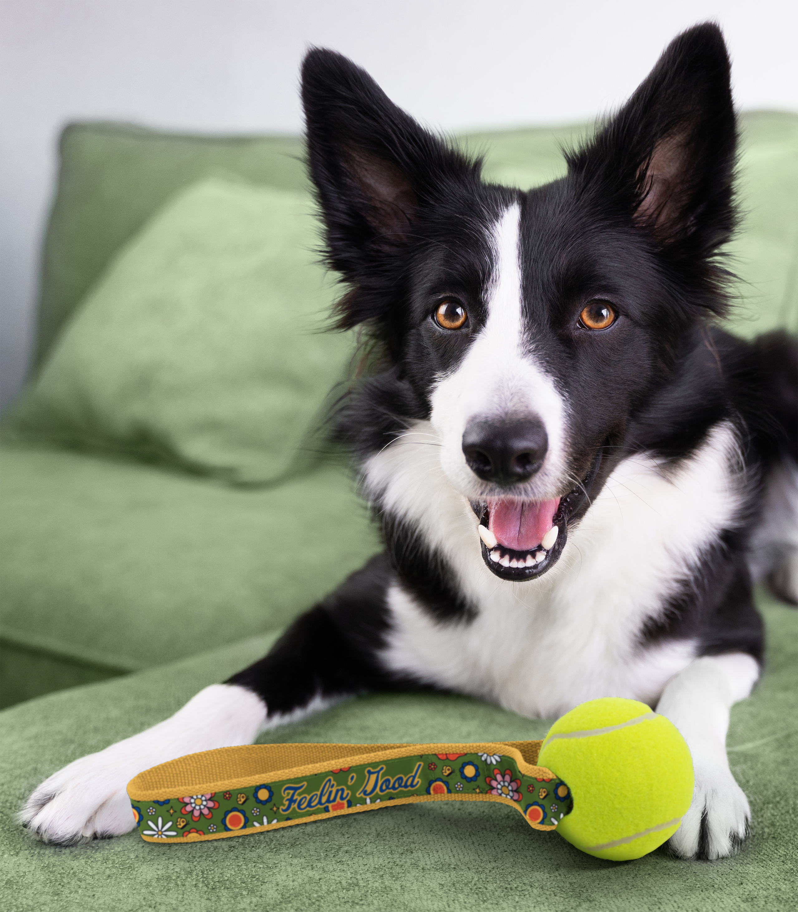 Tennis Ball Sling Dog Toy
