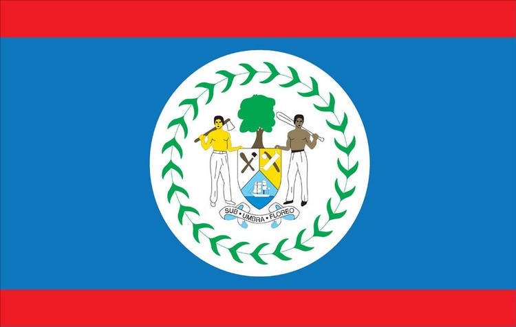 Belize Flag - 2' x 3' - Nylon 2