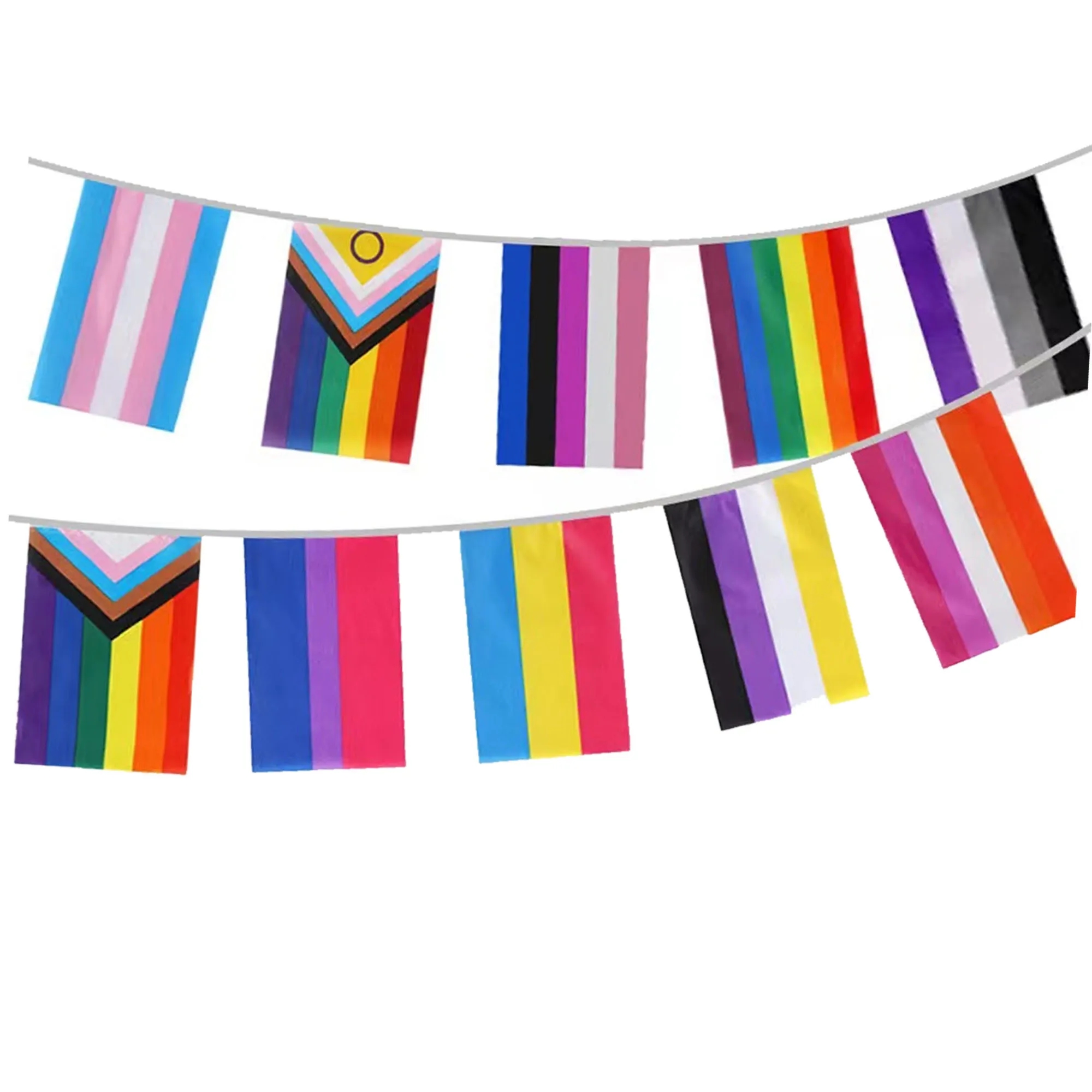 Progressive Pride LGBTQ Flags Banner 6