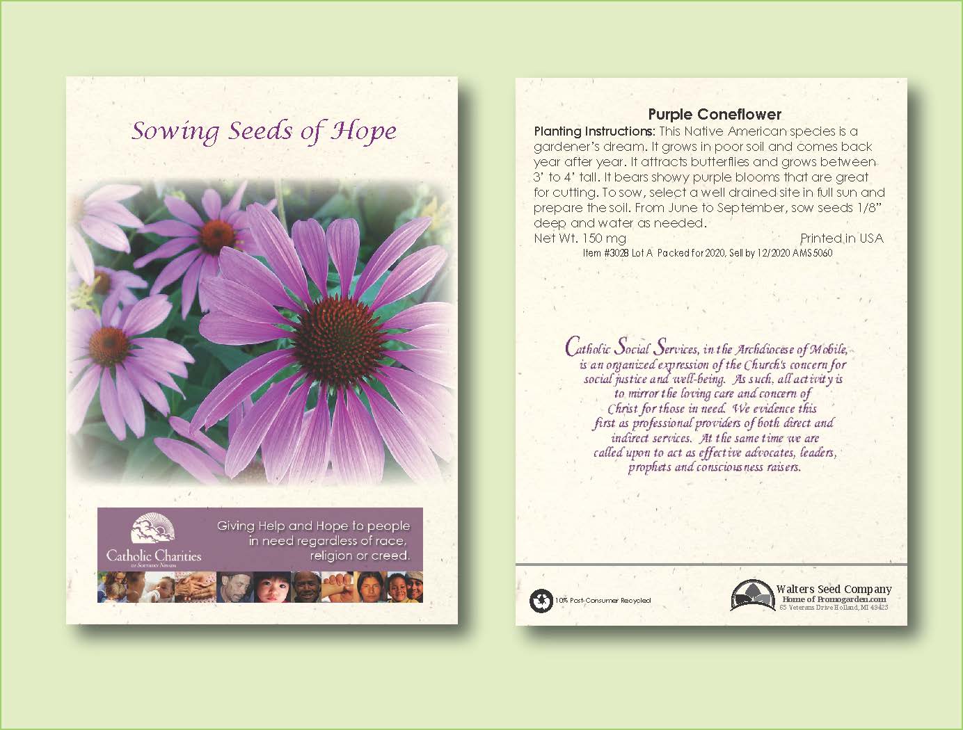 Purple Coneflower Seed Packet - Size 3.25" x 4.5" 2