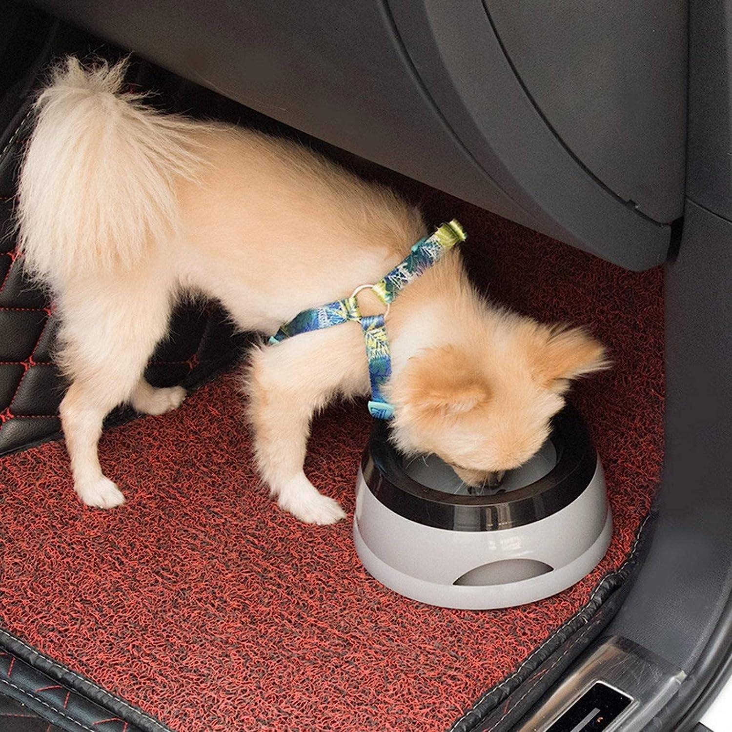 Pet Car Bowl 3