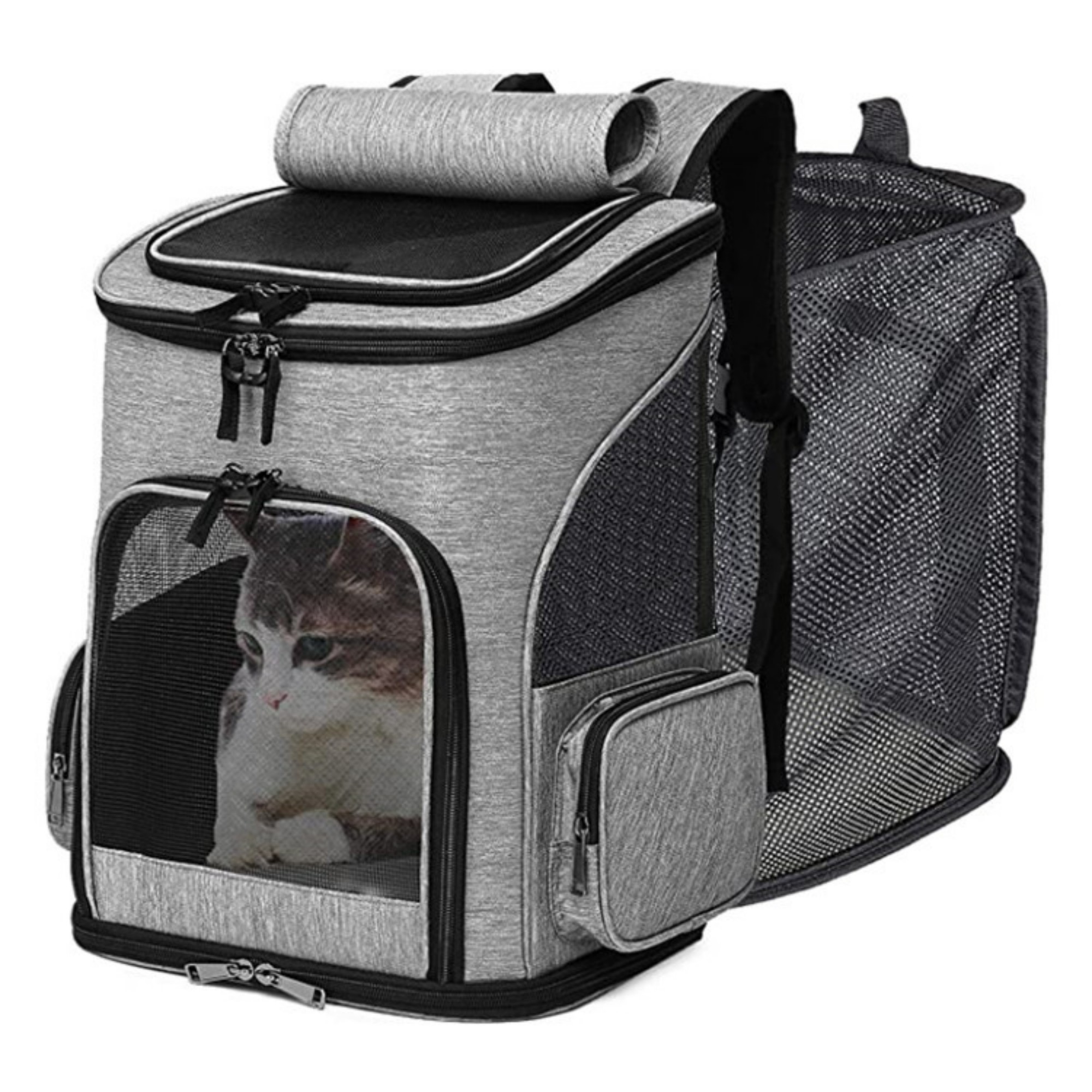 Expandable Pet Backpack Carrier 5
