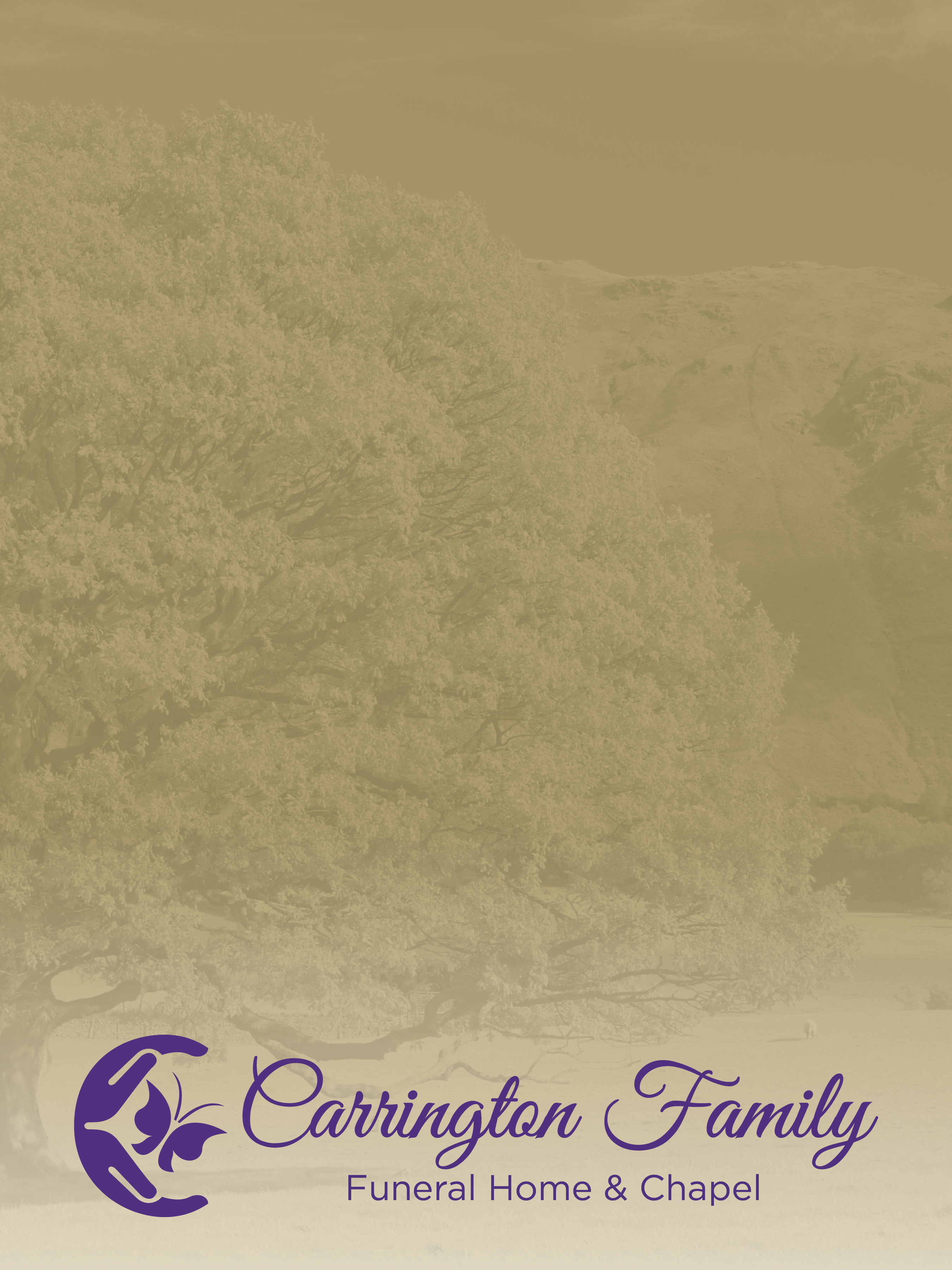 Good Value™ Full-Color Paper Folder 14