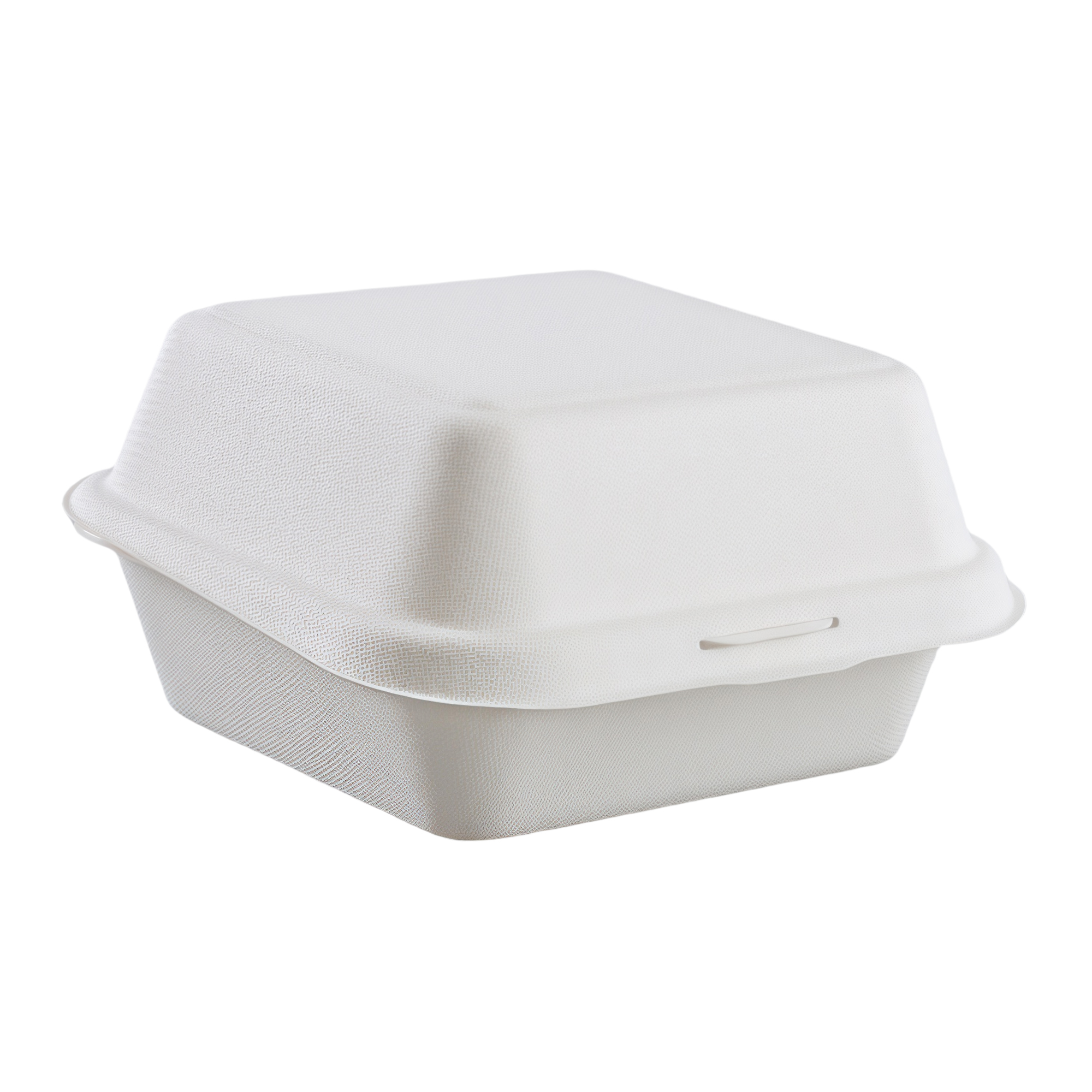 Biodegradable Burger Box - Large Capacity 3