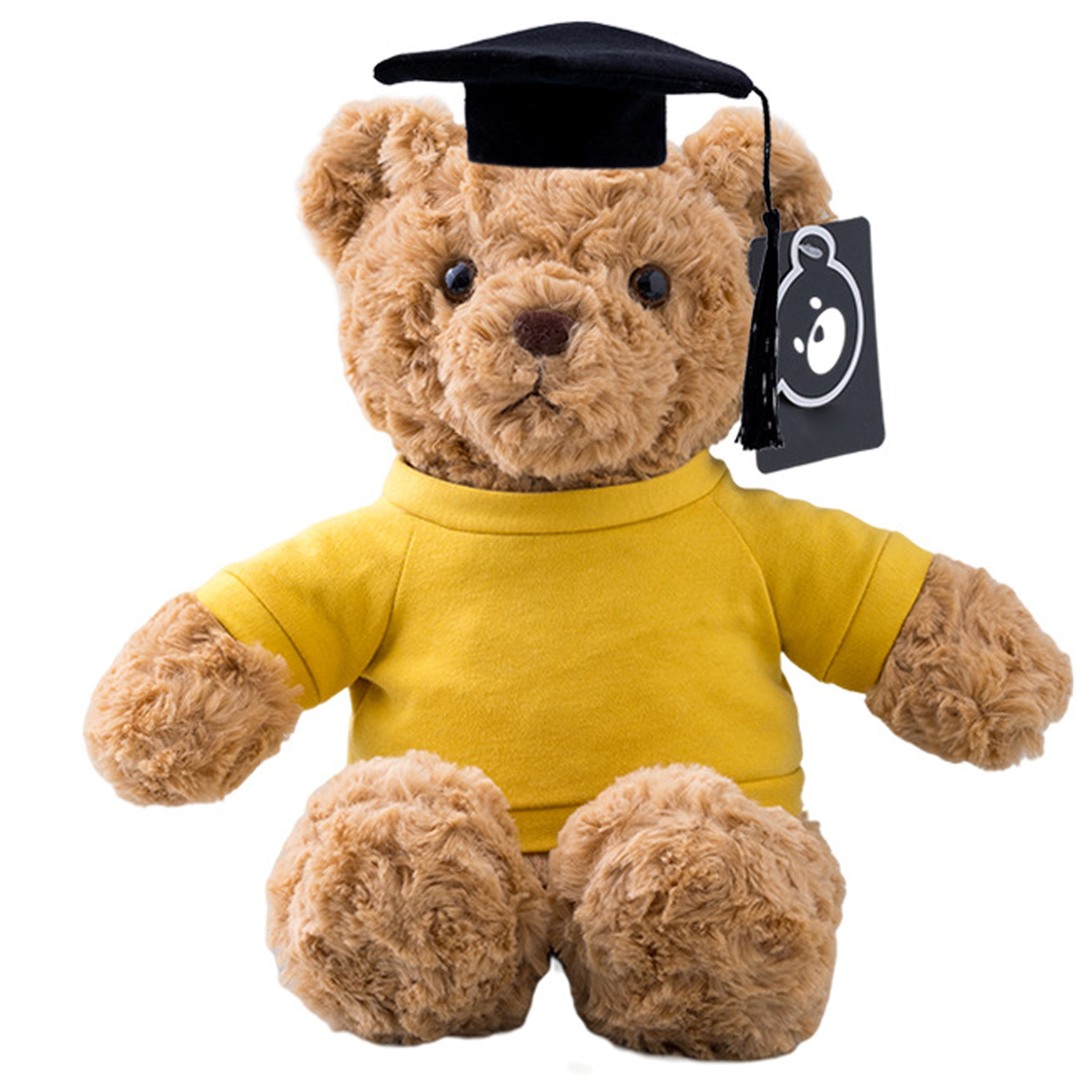 Polypropylene Fiber Graduation Ceremony Teddy Bear Doll 6