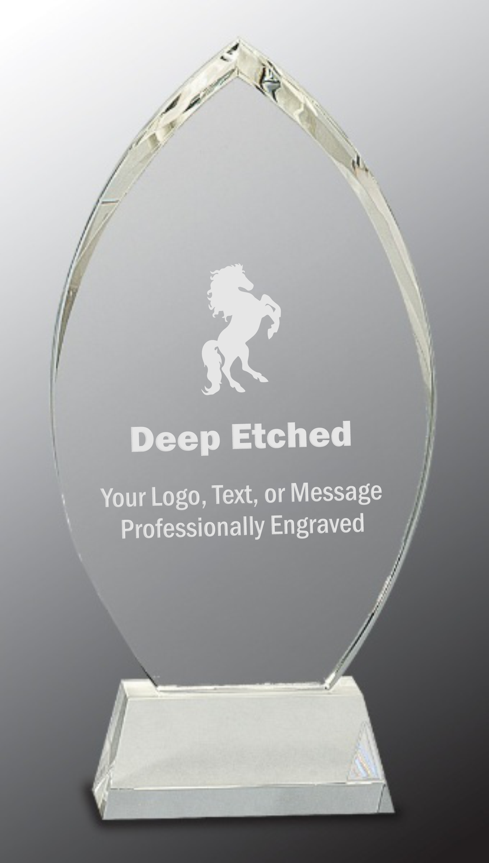 10 1/4" Crystal Oval Award on Clear Base