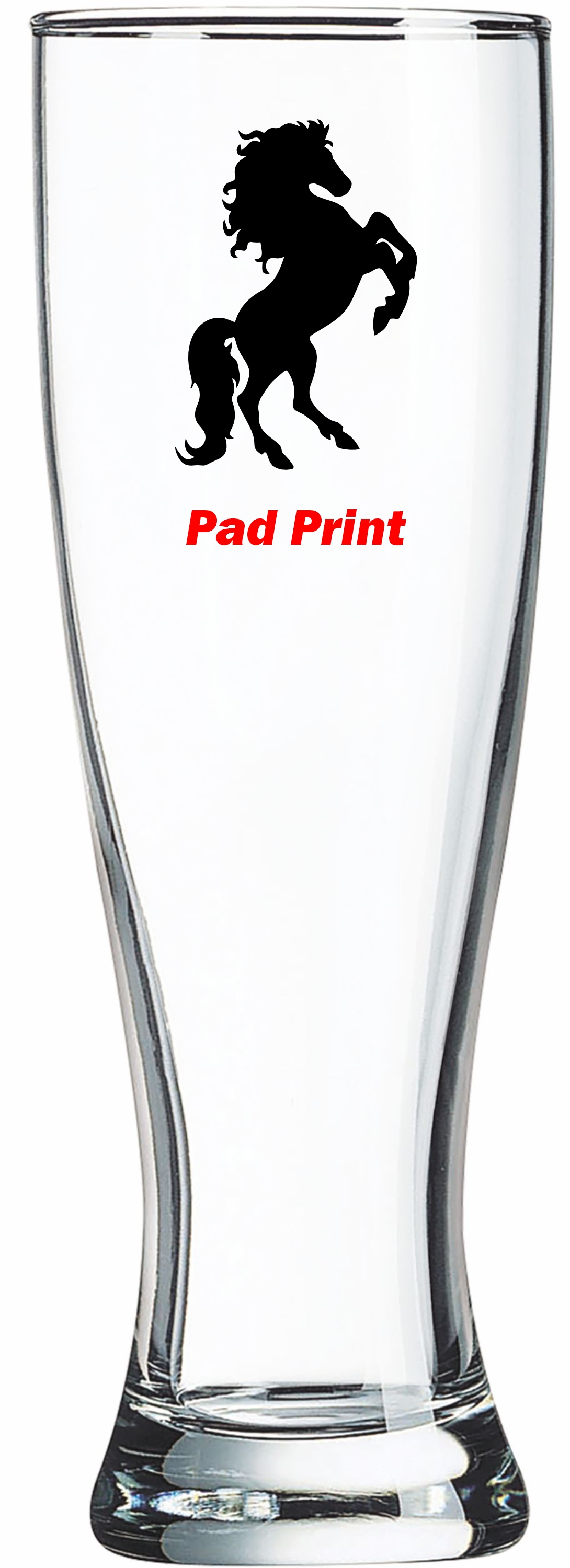 Polar Camel 16 oz Pilsner Glass - Dishwasher Resistant - MADE IN THE USA