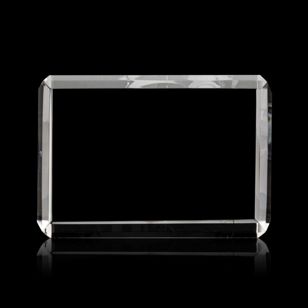 Fulton 3D Award - Horizontal 46