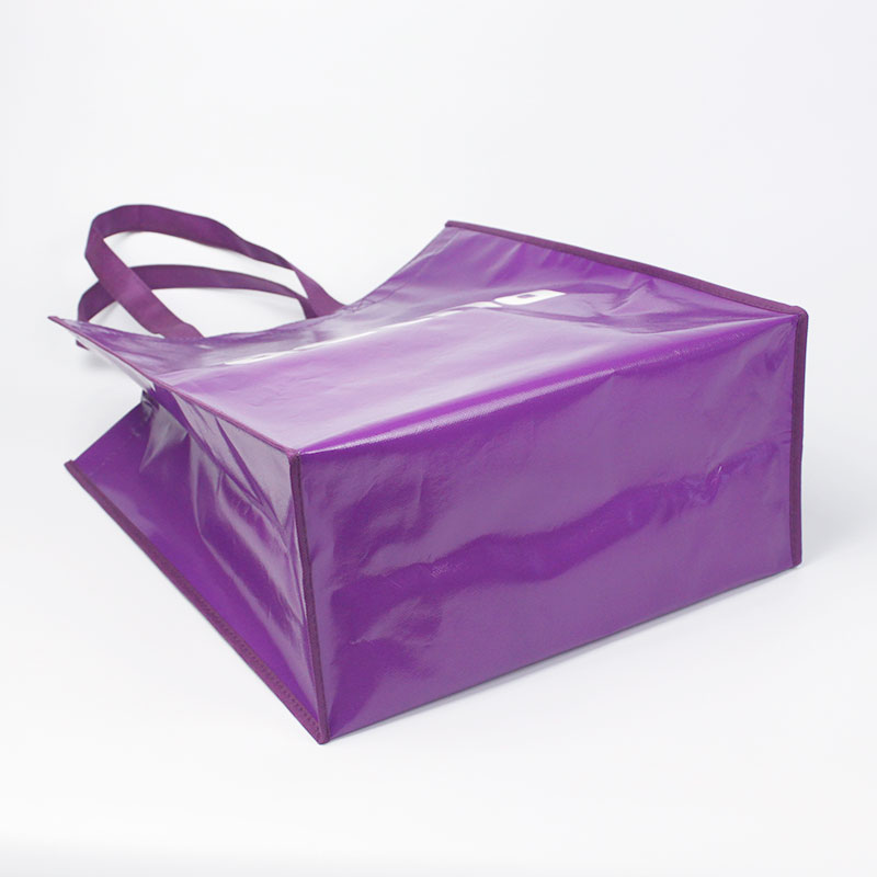Eco Laminated Non Woven Shopping Bag 4