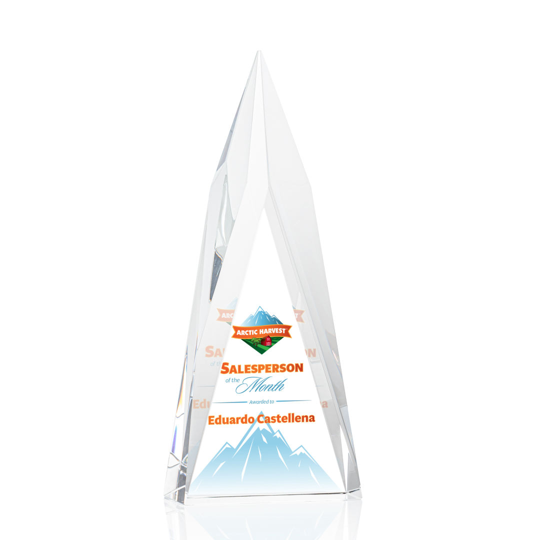Salisbury VividPrint™ Award 2