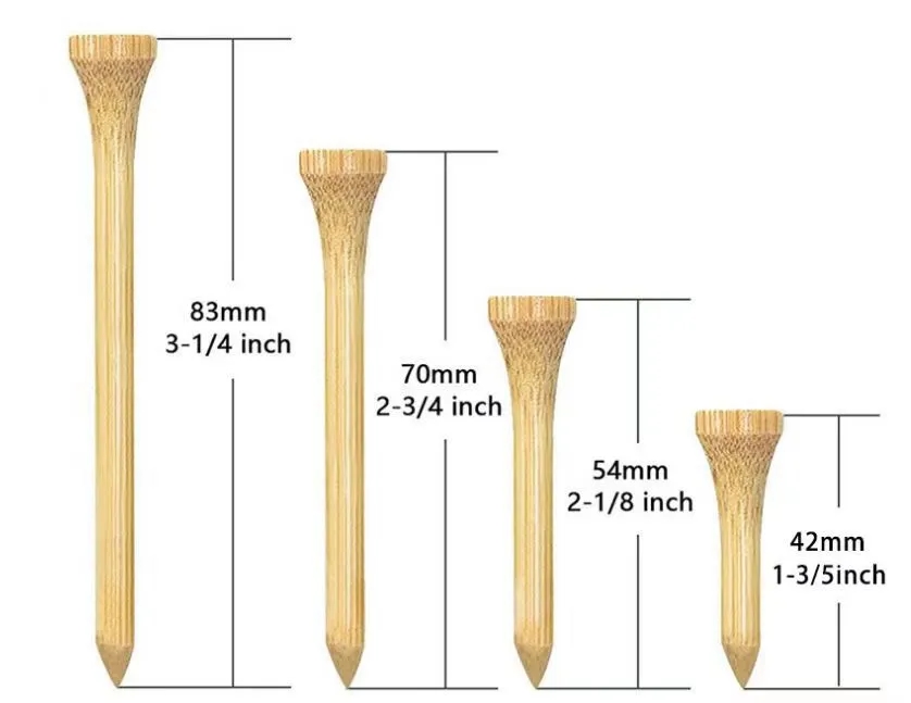 Golf Tee Holder with Wood Golf Tees 3