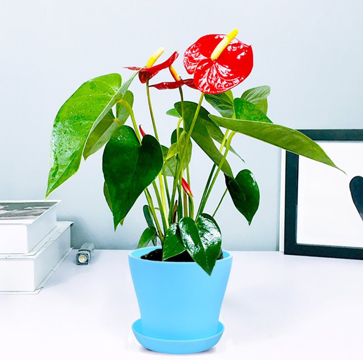 Mini Plastic Plant Pot 5