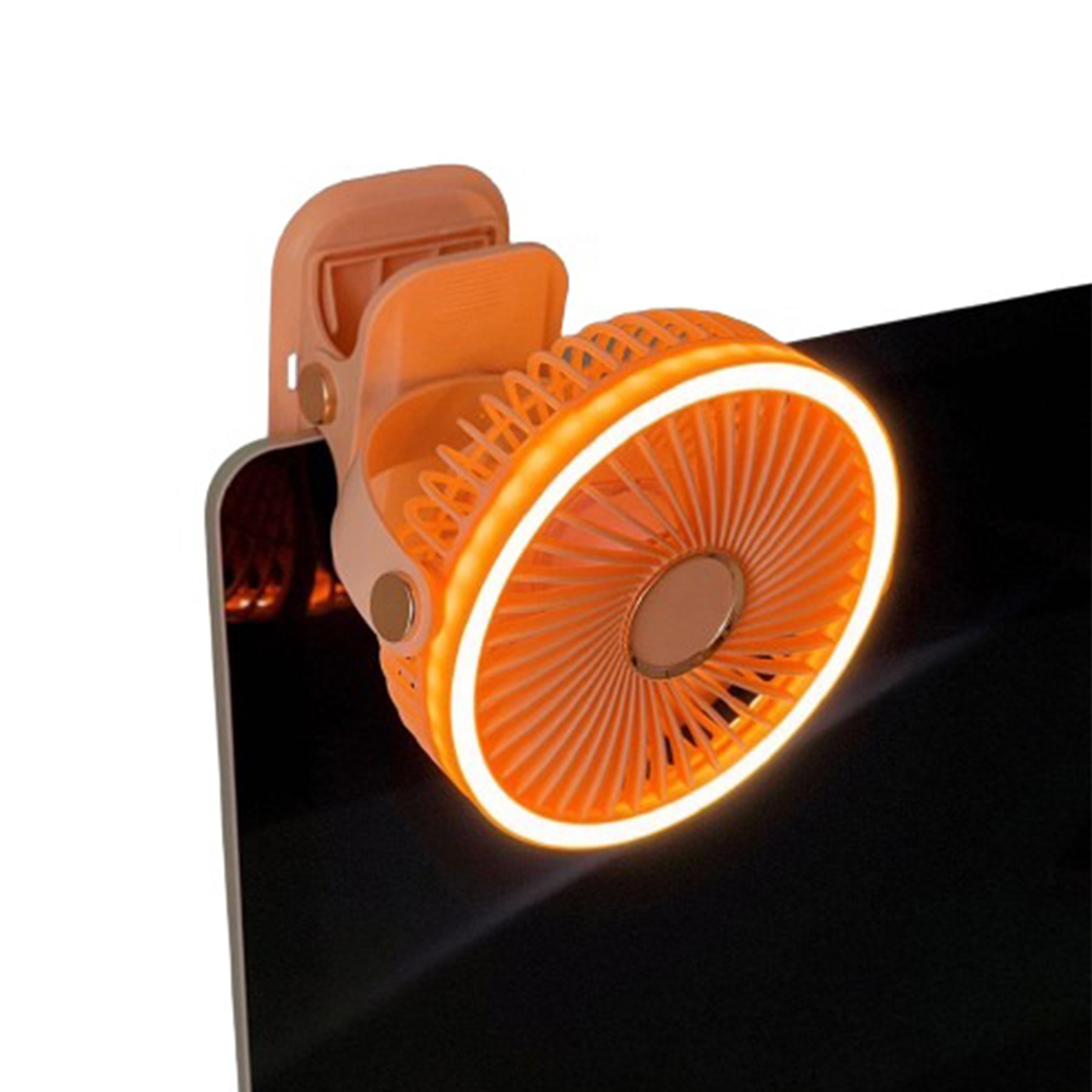 Multi-function Fan 1