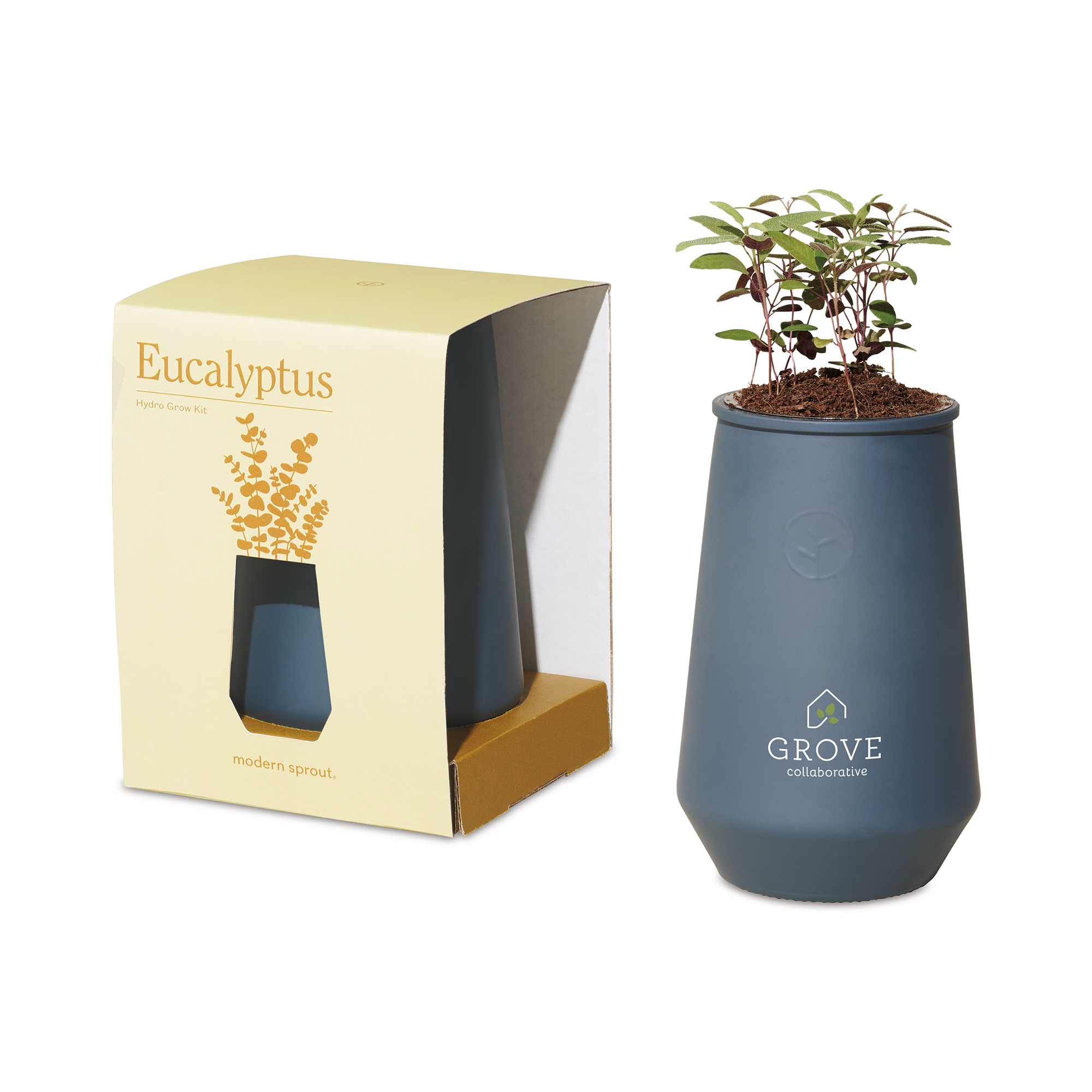 Modern Sprout® Tapered Tumbler Grow Kit 15