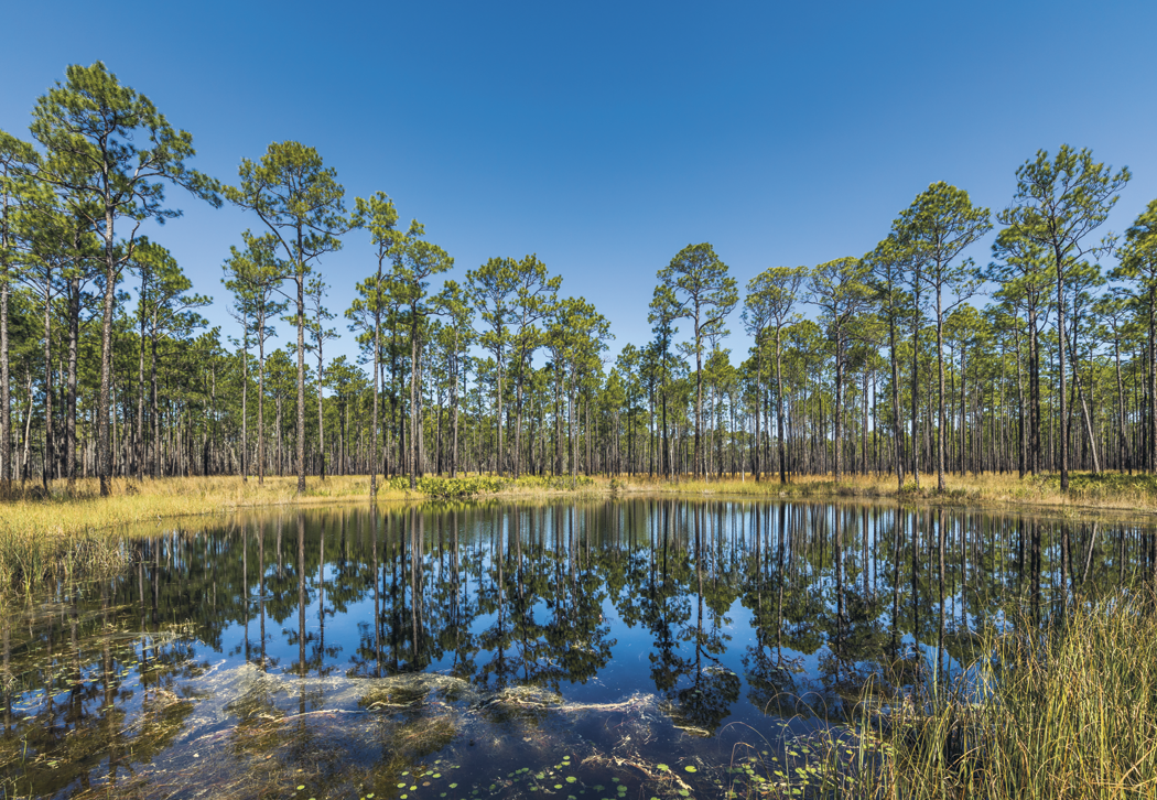 HotLine® Products Our Beautiful America® Executive Calendar 42