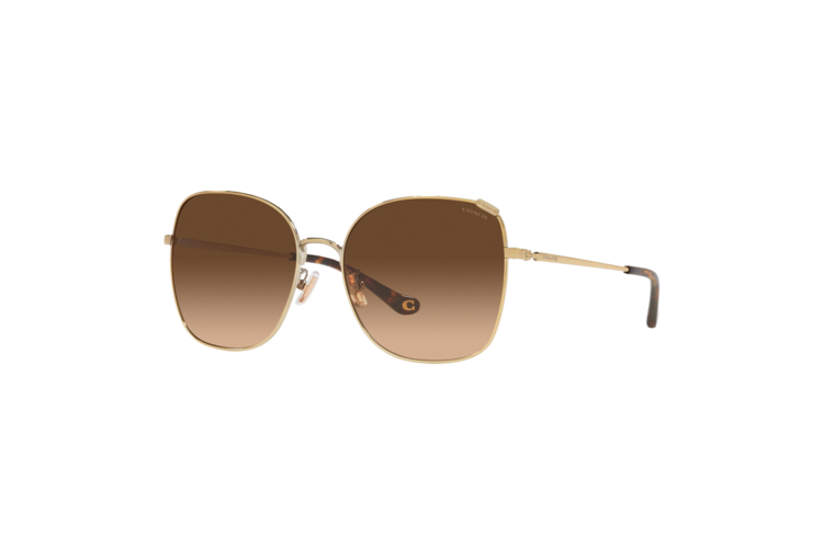 Coach Women's HC7133 Sunglasses 1