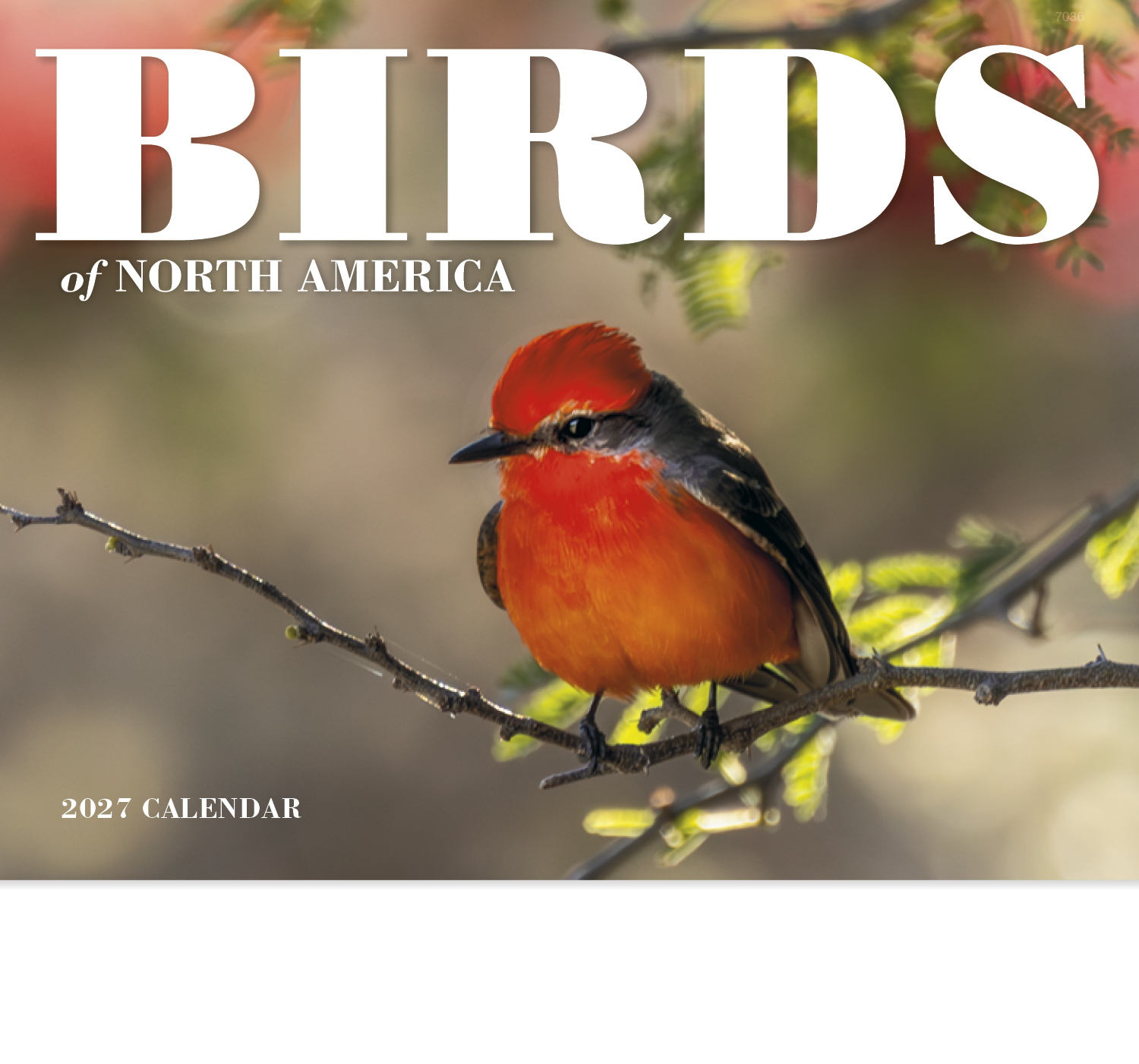 Good Value™ Birds of North America - Stapled Calendar 61