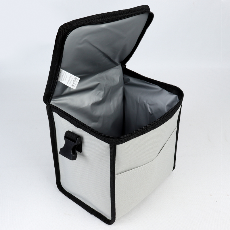 INSULATED LUNCH BAG 12