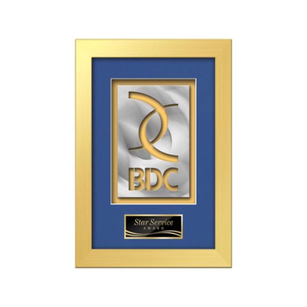 Eldridge Aquashape™ Award - Gold 10