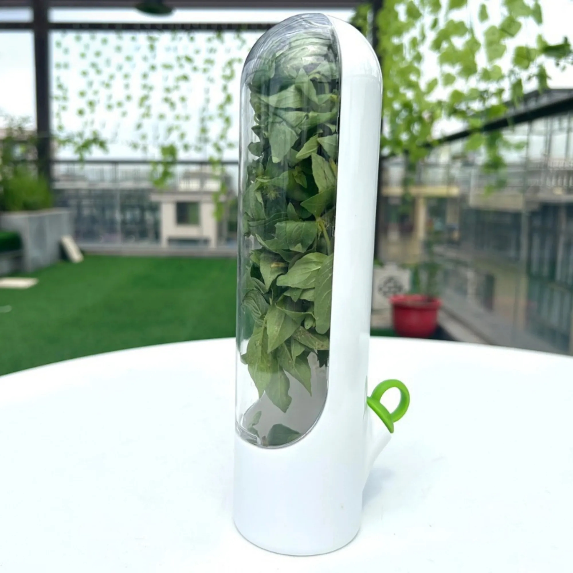 ABS Herb Vegetable Preservation Box 5
