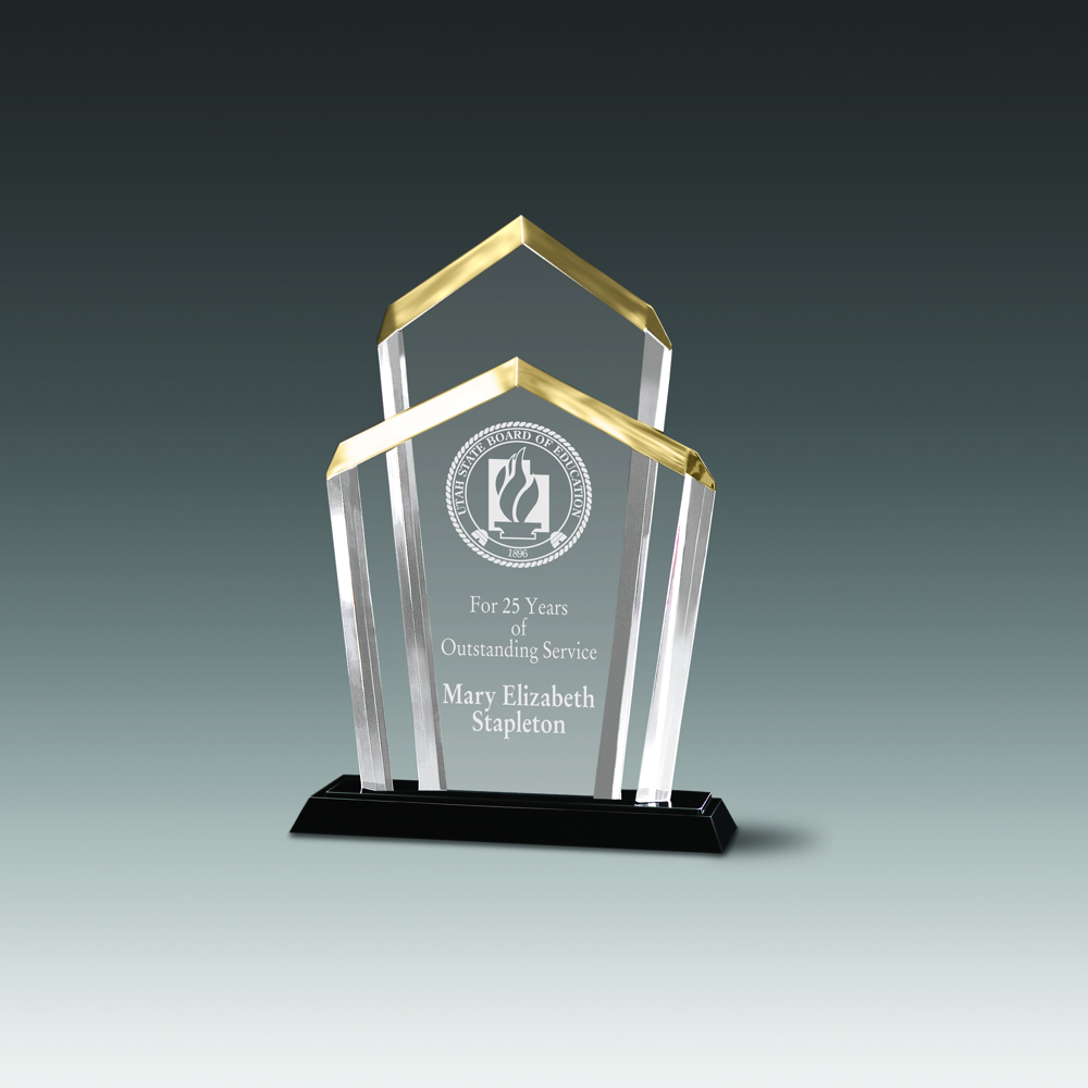Presidential Chairman Award (8"x12") 1