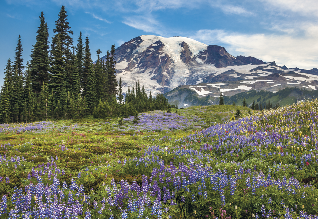 HotLine® Products Scenic America® Executive Calendar 13