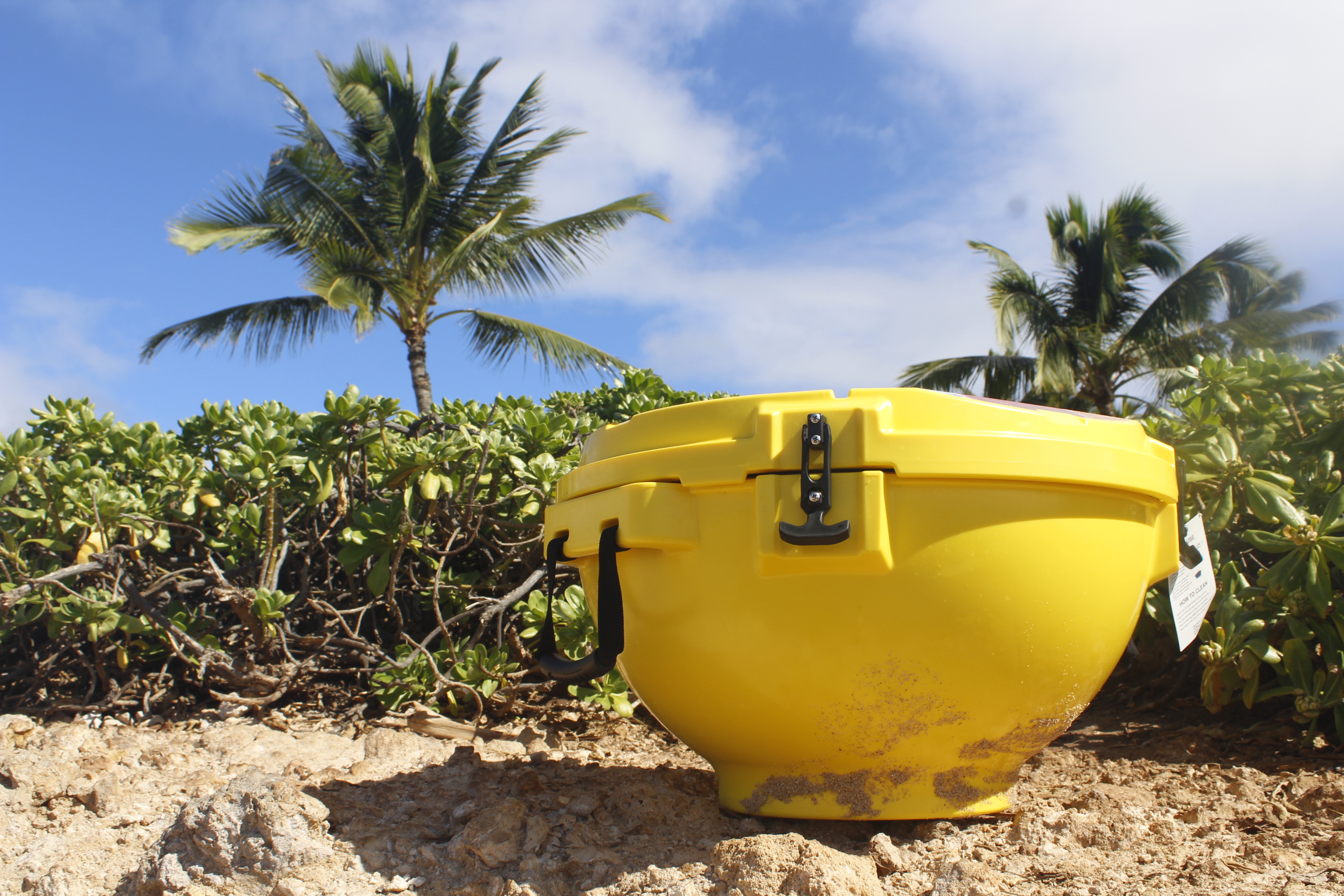 Clam Cooler- Yellow 2