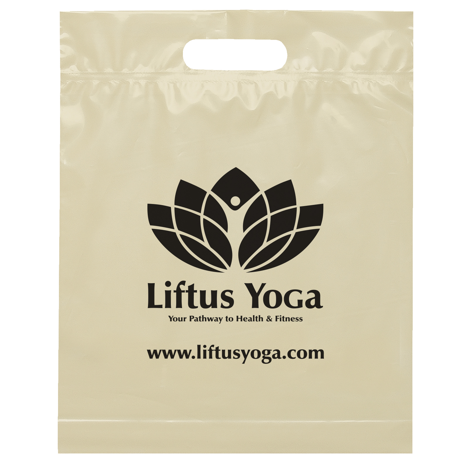 Die Cut Handle Bag - 12W x 15H x 3 - Flexo Ink Print